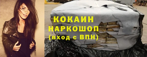 мдпв Богданович